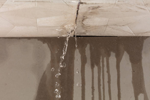 Professional Structural Drying technician working in Malvern, IA